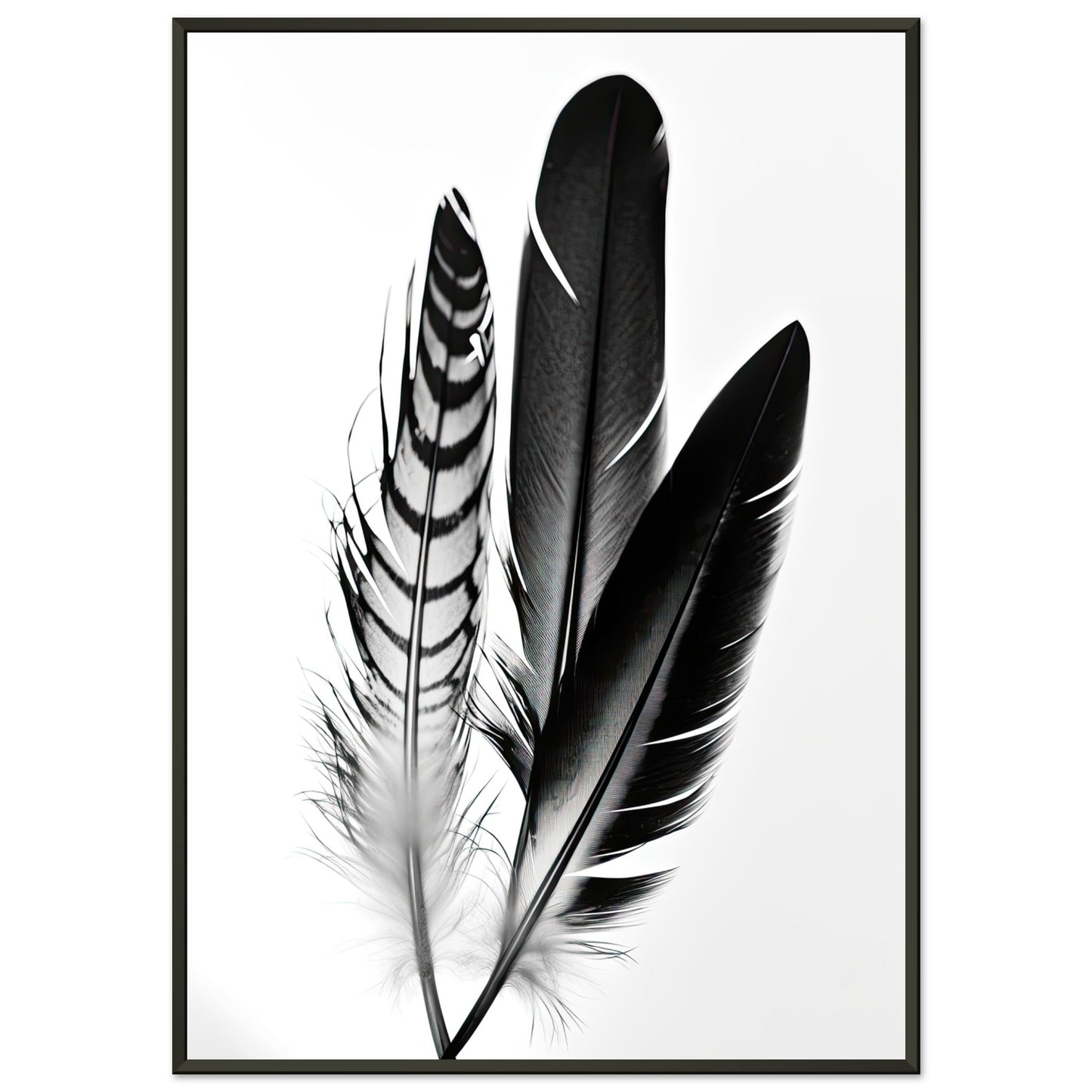 Blackbird, Poster mit Alurahmen - Stiersbeste