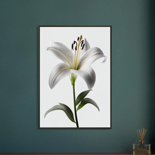 Orchidee - Stiersbeste