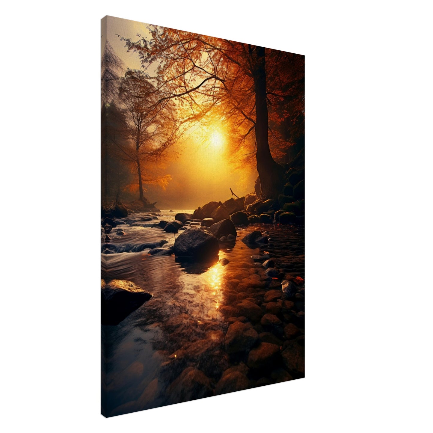 Wald im Sonnenlicht, Print Material - Stiers Beste