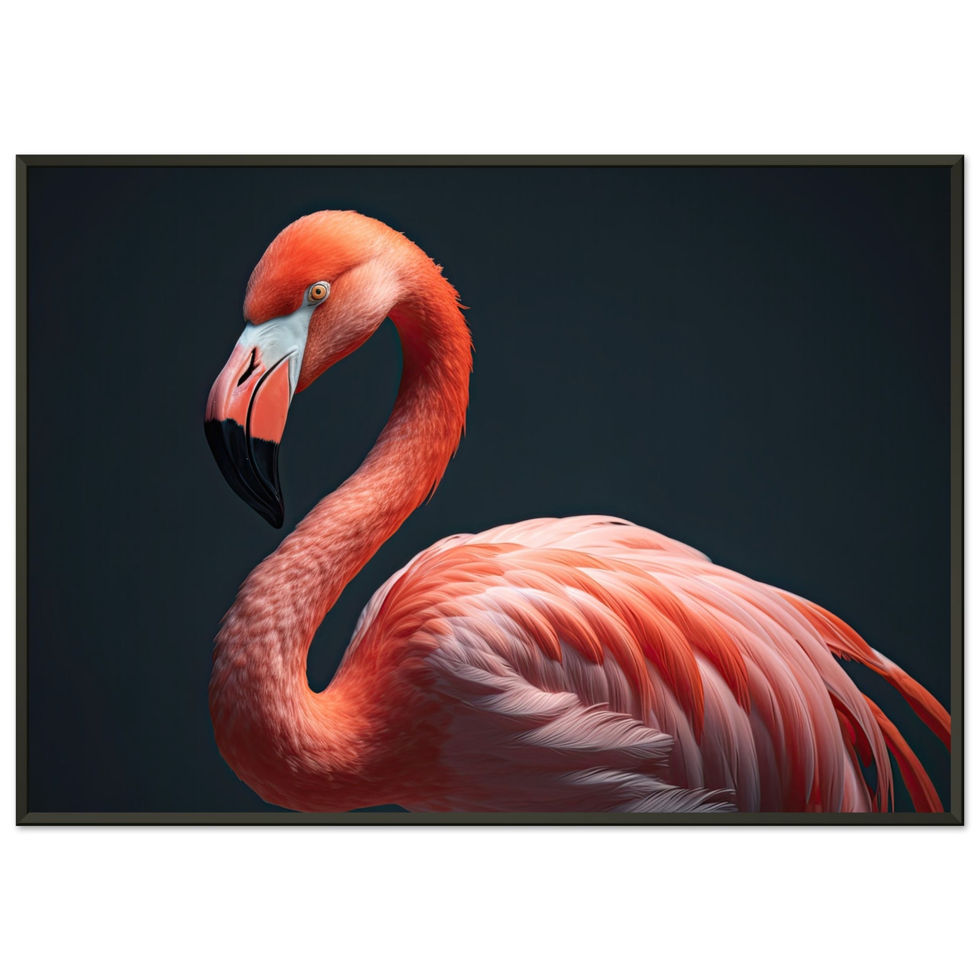 Flamingo in the Studio, Poster mit Alurahmen - Stiersbeste