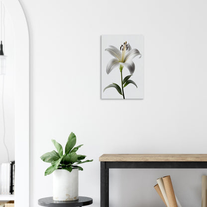 Orchidee - Stiersbeste