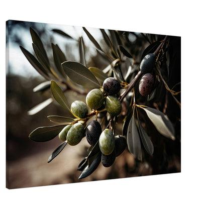 Olive Gefällig?, Leinwanddruck - Stiers Beste