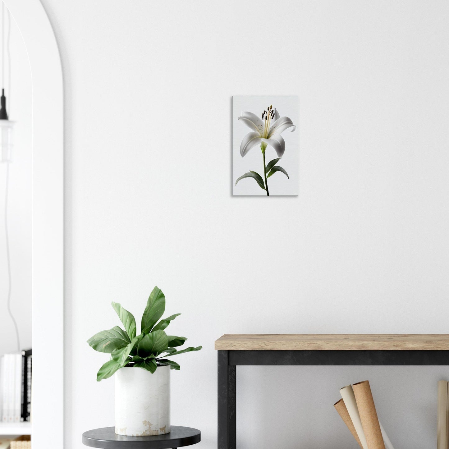 Orchidee - Stiersbeste