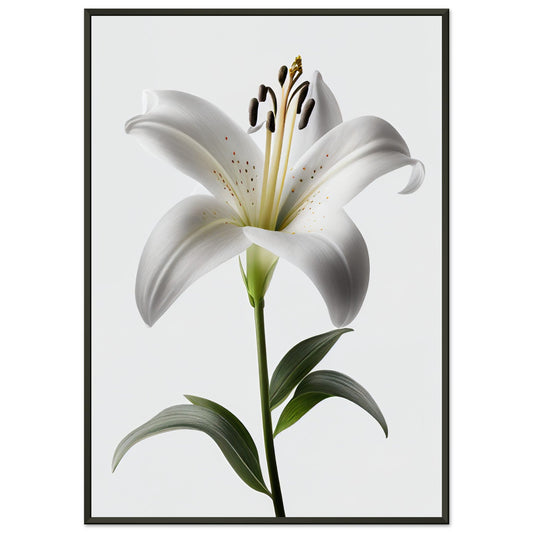Orchidee - Stiersbeste