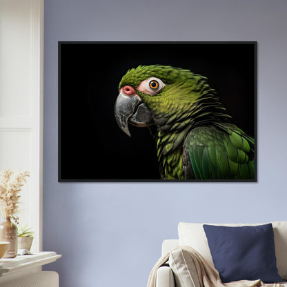 Papagei im Studio, Poster mit Holzrahmen - Stiersbeste