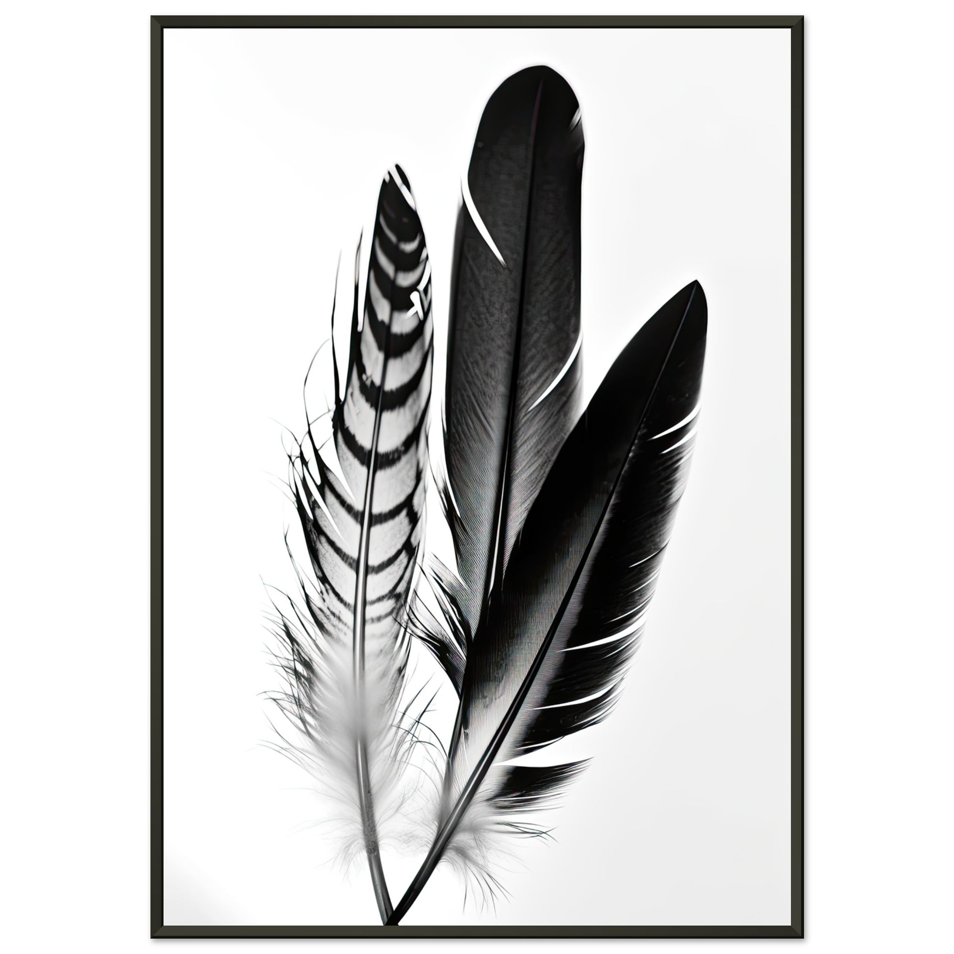 Blackbird, Poster mit Alurahmen - Stiersbeste