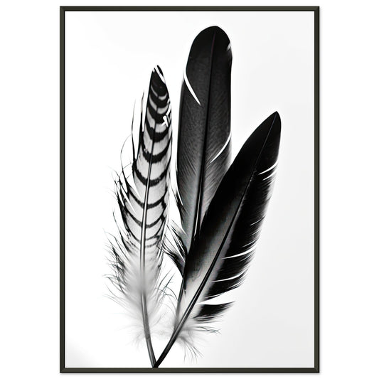 Blackbird, Poster mit Alurahmen - Stiersbeste