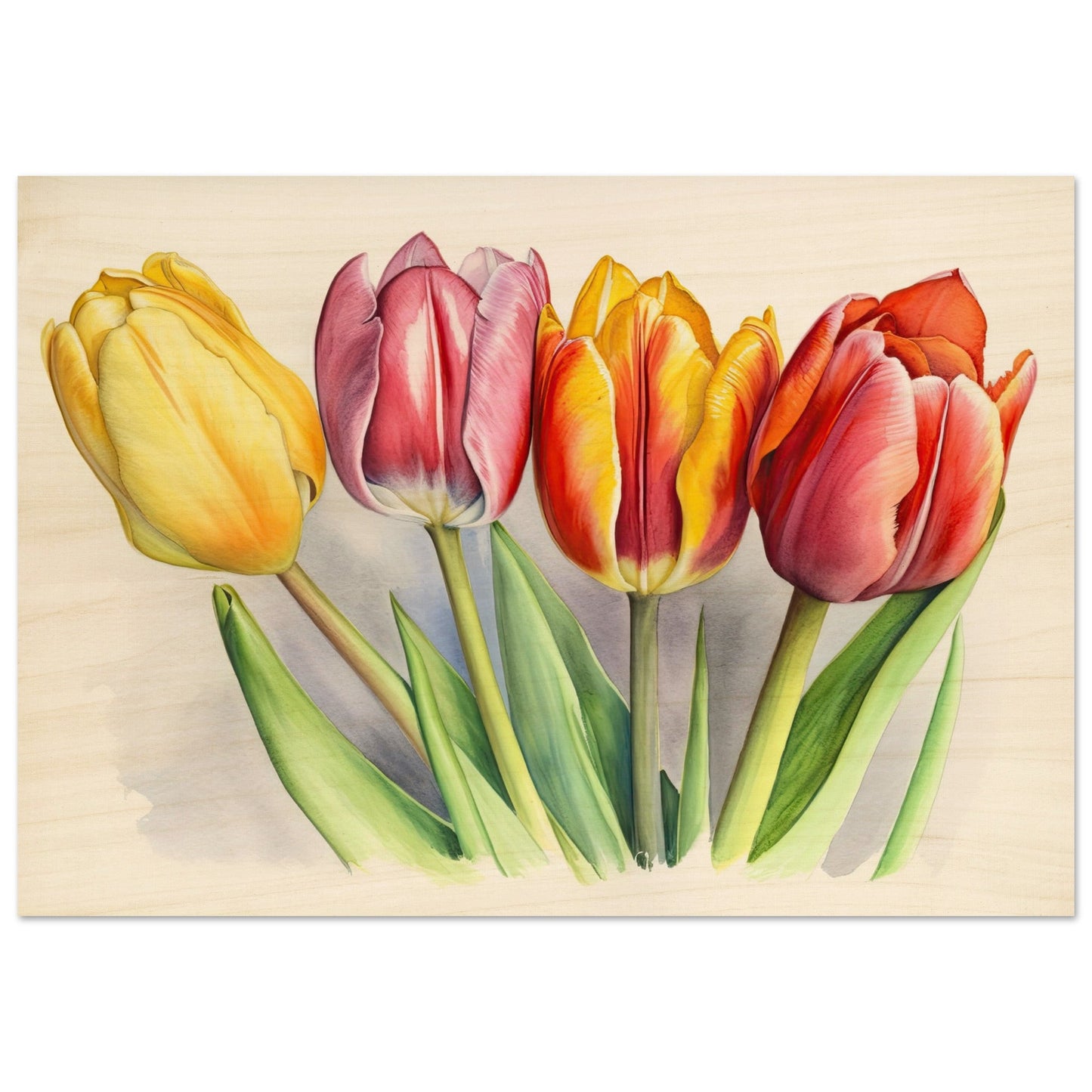 Aquarall Tulpen - Stiersbeste