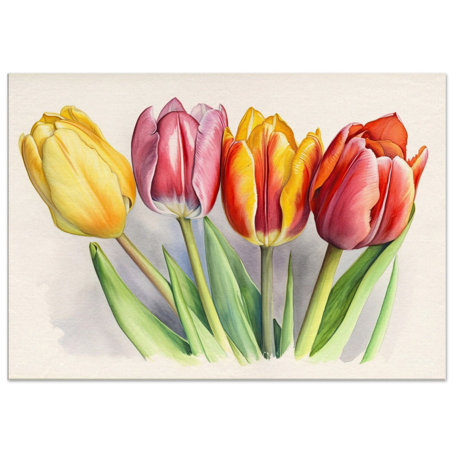 Aquarall Tulpen - Stiersbeste