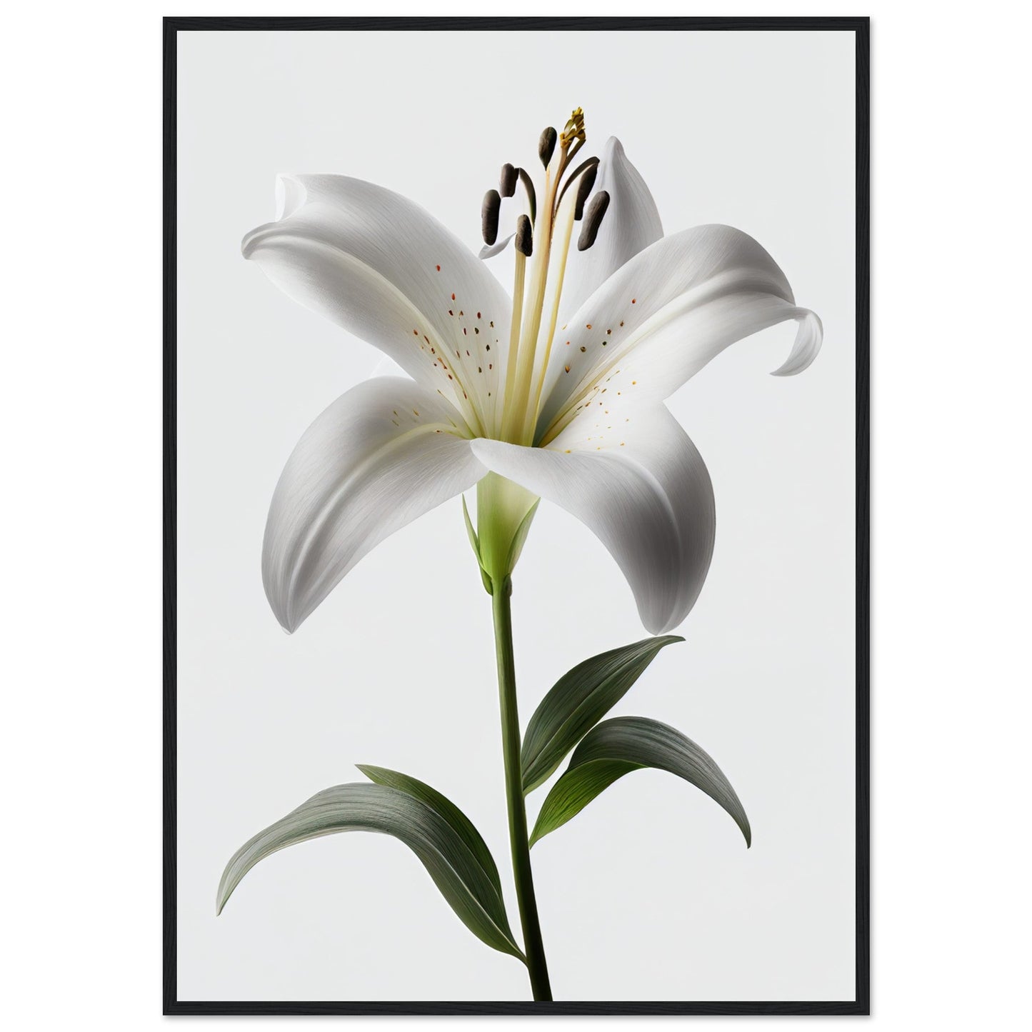 Orchidee - Stiersbeste