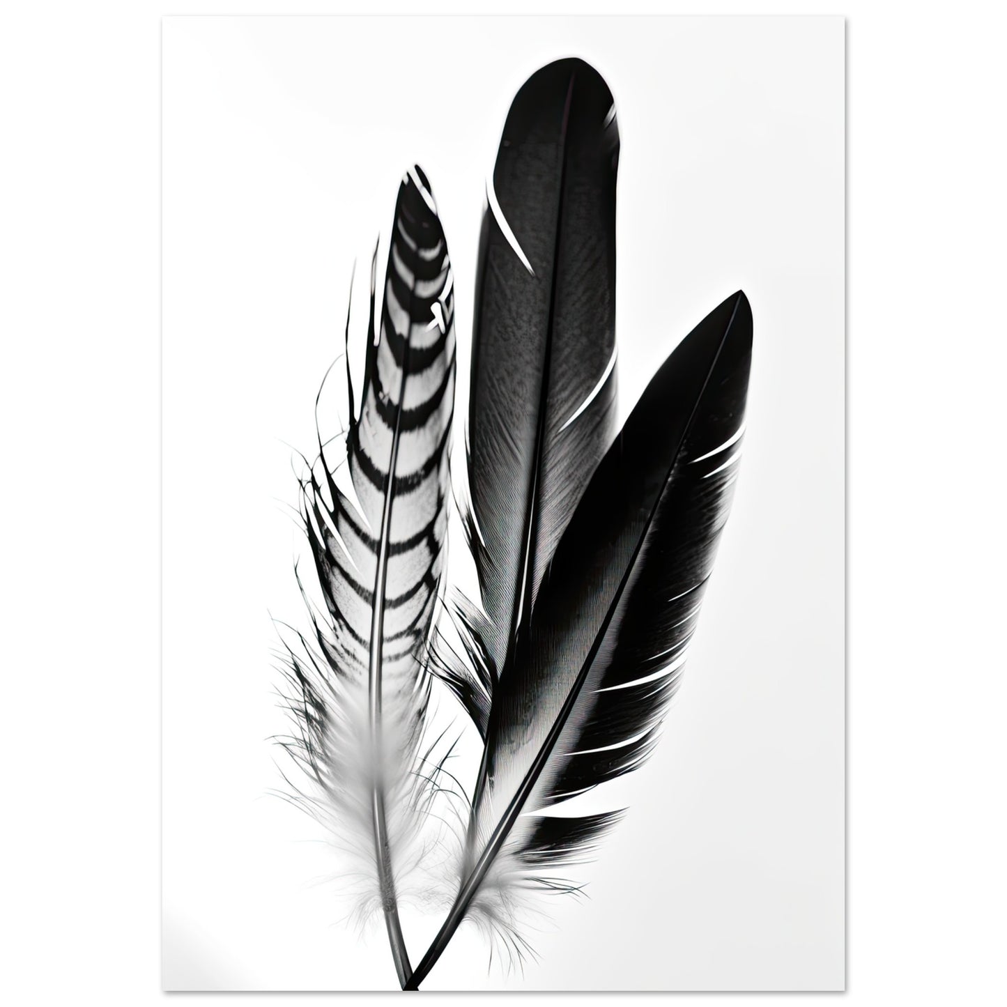 Blackbird, Aluminiumdruck - Stiersbeste