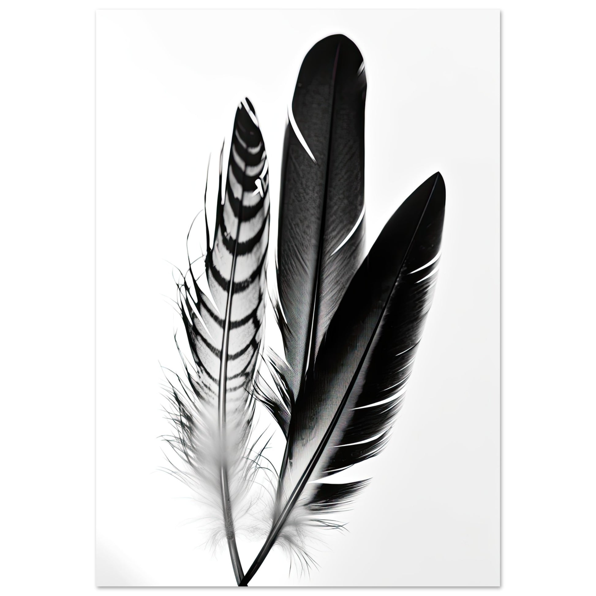 Blackbird, Aluminiumdruck - Stiersbeste