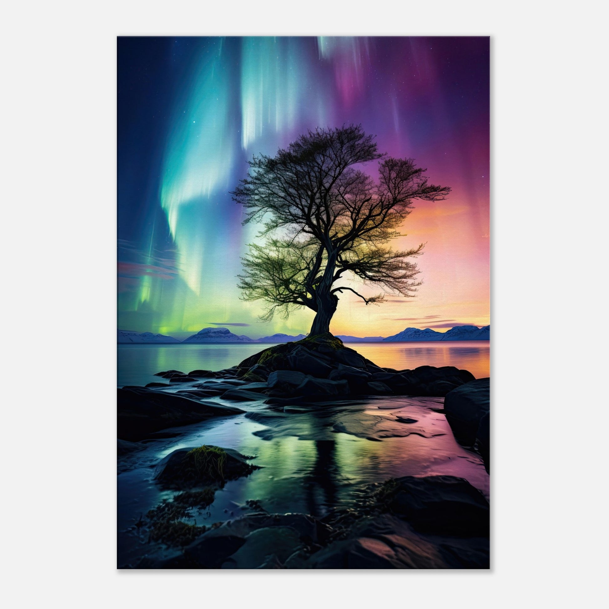 Polarlicht Baum, Leinwanddruck - Stiers Beste