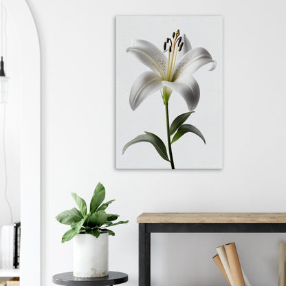 Orchidee - Stiersbeste