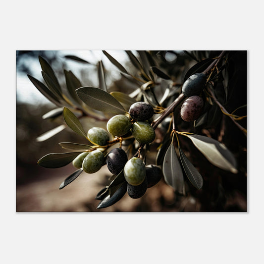 Olive Gefällig?, Leinwanddruck - Stiers Beste