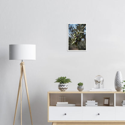 Olivenpracht, Poster mit Holzrahmen - Stiers Beste