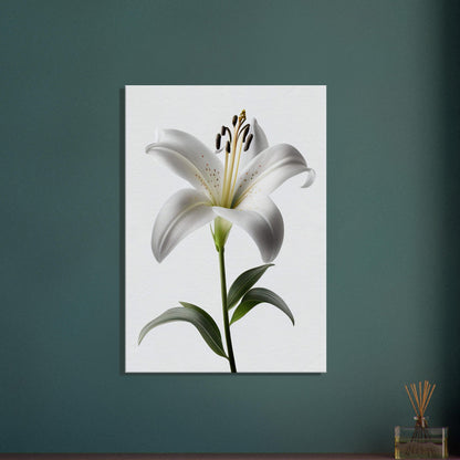 Orchidee - Stiersbeste