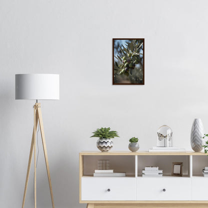 Olivenpracht, Poster mit Holzrahmen - Stiers Beste