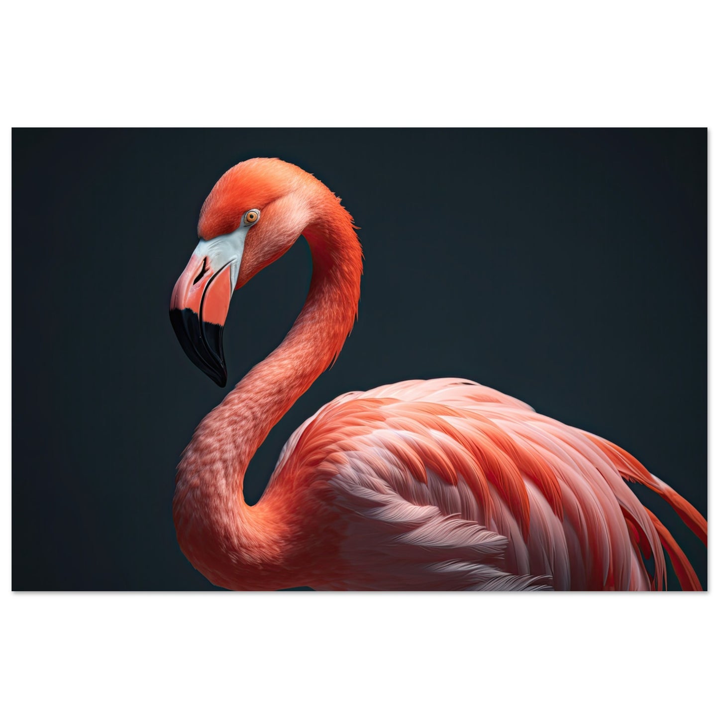 Flamingo in the Studio, Poster - Stiersbeste