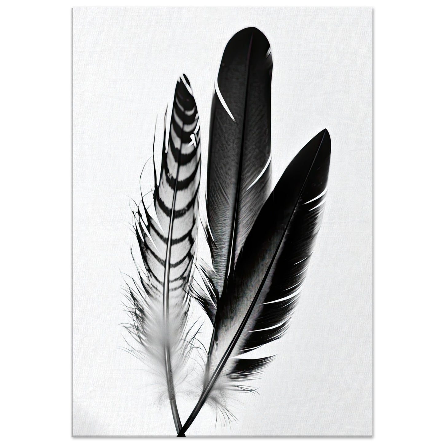 Blackbird, Leinwanddruck - Stiersbeste