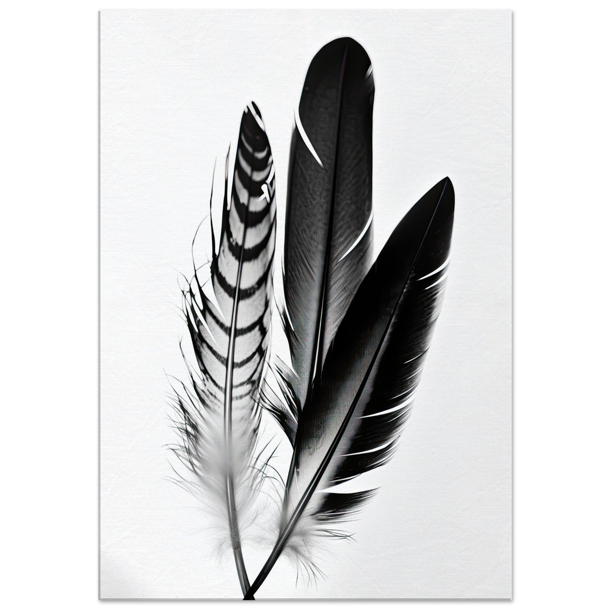 Blackbird, Leinwanddruck - Stiersbeste