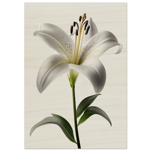 Orchidee - Stiersbeste
