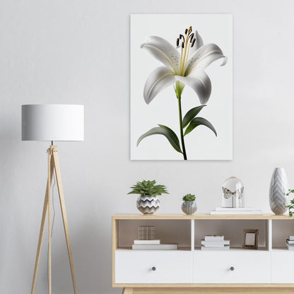 Orchidee - Stiersbeste